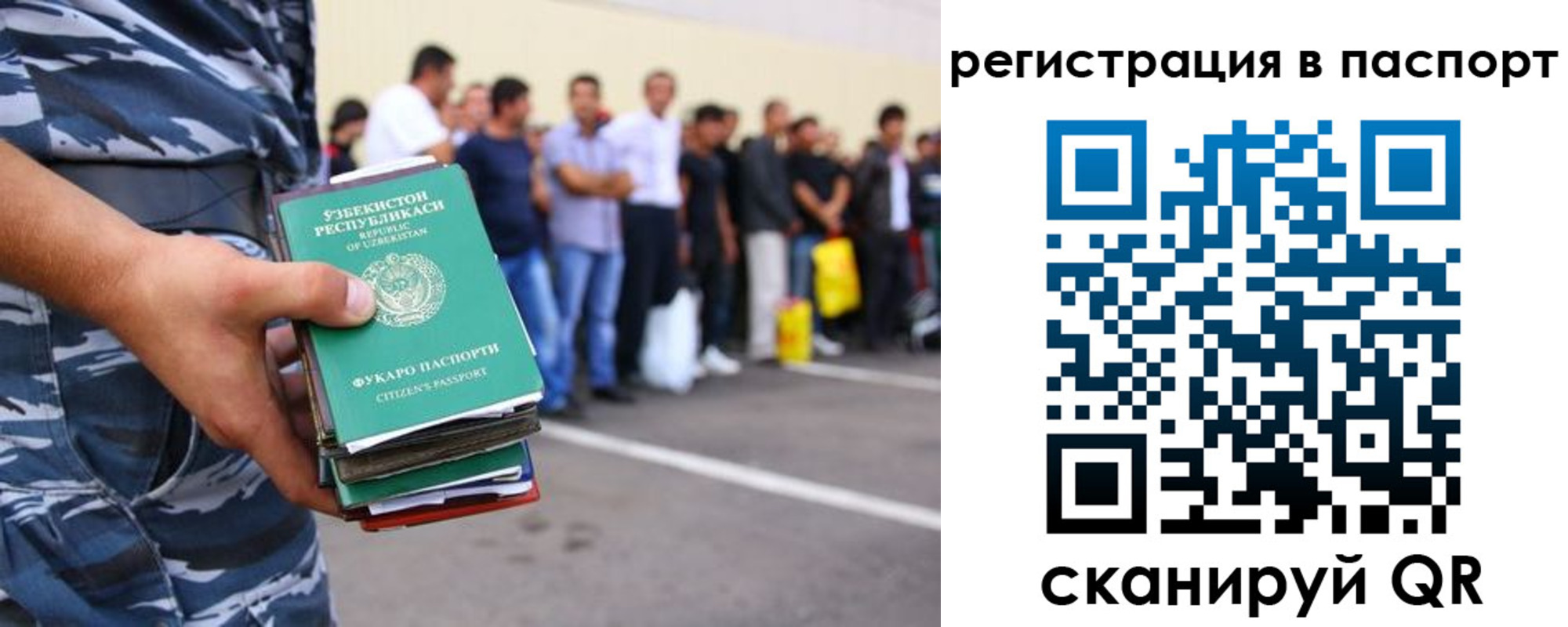 прописка поиск в Дубне